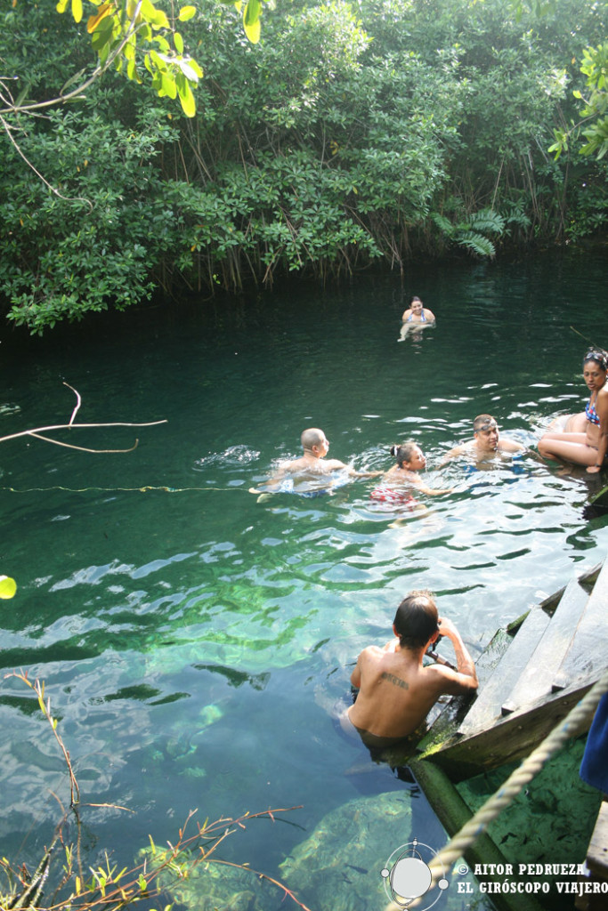 Aguas cristalinas del cenote Xcacelito