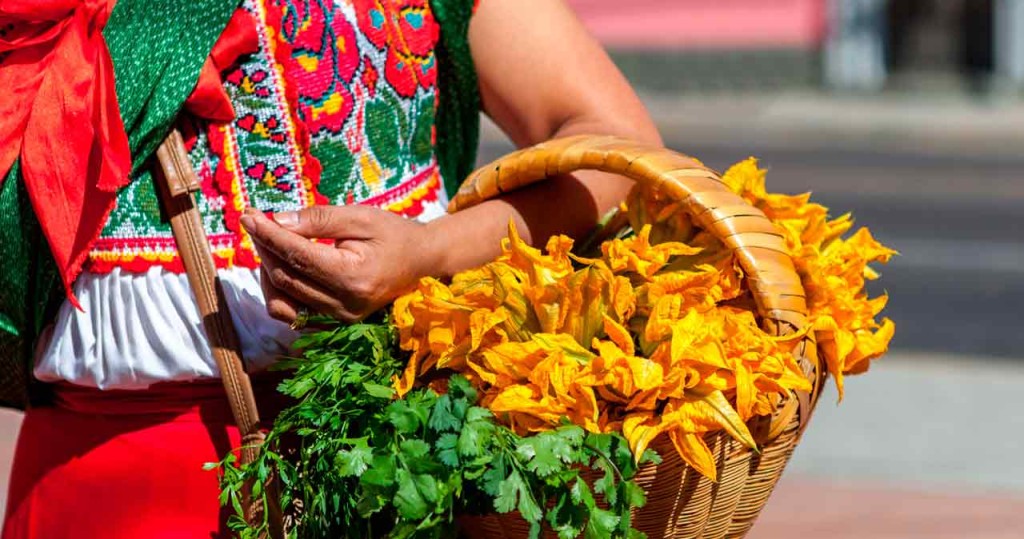 Colores y tradiciones en Oaxaca
