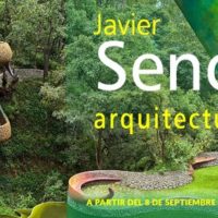 Arquitectura orgánica en el MUNARQ de Bellas Artes