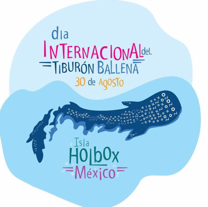 Festival del tiburón ballena en Holbox