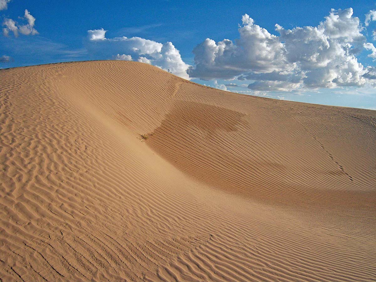 Las dunas de Samalayuca en el estado de Chihuahua