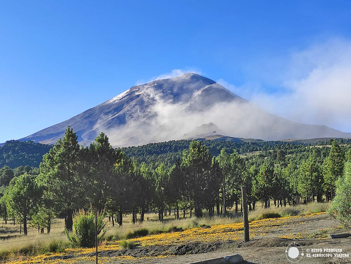 Bosques bajo el volcán Popocatepetl