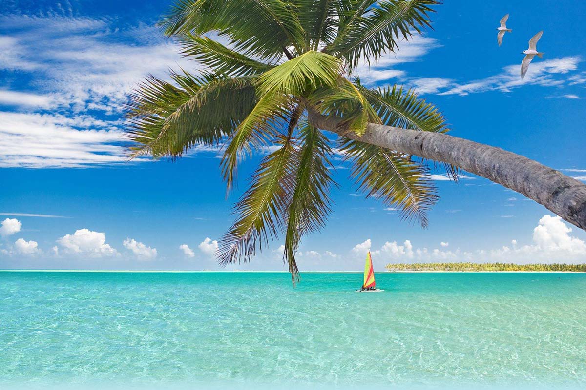 Las playas de Cozumel son de las mejores del Caribe