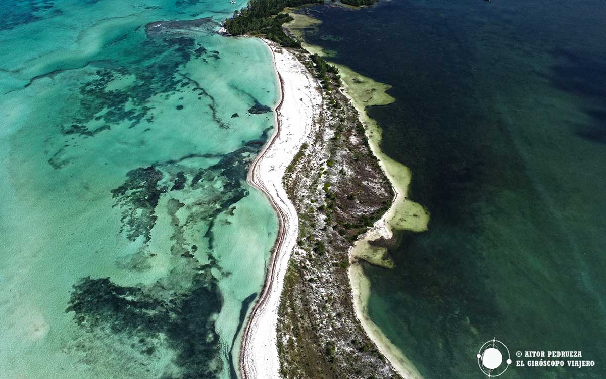 Catamarán a Isla Pasión. Excursiones para cruceros en Cozumel